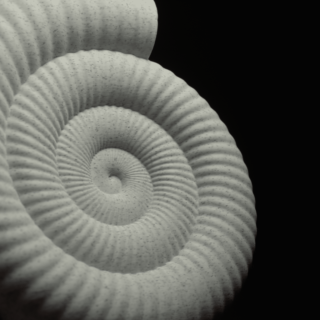 Spiraal | Een sculptuur van een ammonietfossiel