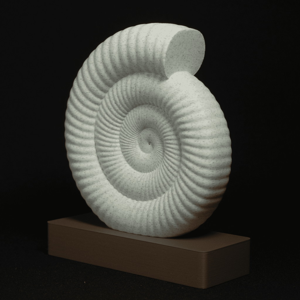 Spiraal | Een sculptuur van een ammonietfossiel