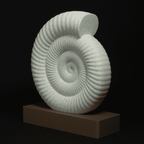 Spiraal | Een sculptuur van een ammonietfossiel