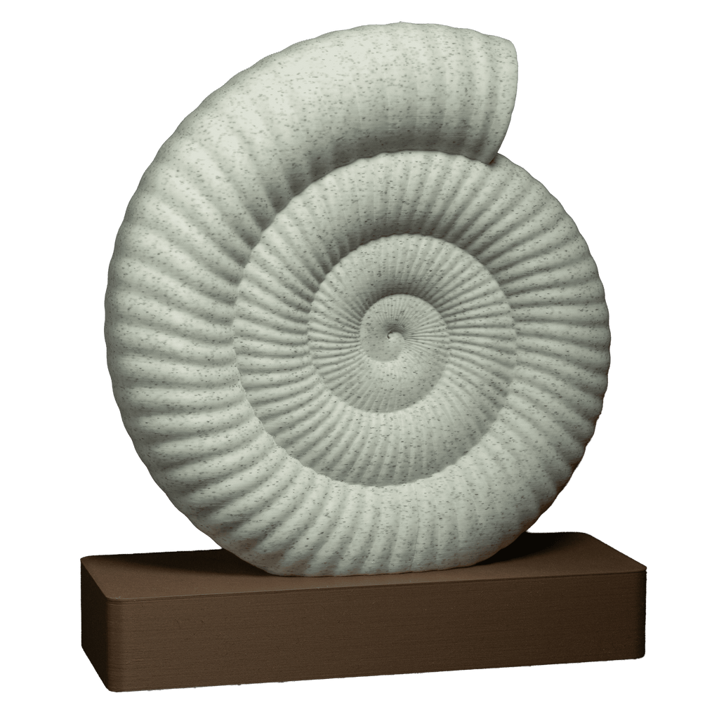 Spiraal | Een sculptuur van een ammonietfossiel