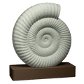 Spiraal | Een sculptuur van een ammonietfossiel