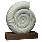 Spiraal | Een sculptuur van een ammonietfossiel